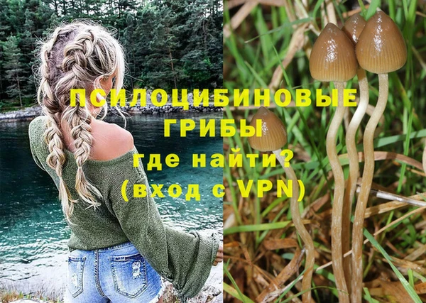 экстази Краснослободск