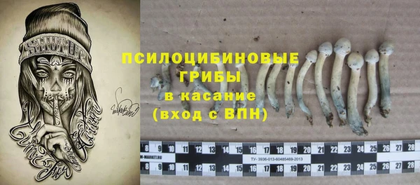 PSILOCYBIN Краснотурьинск