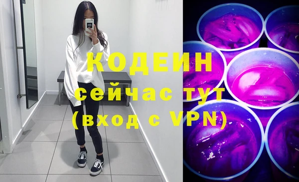 индика Кукмор