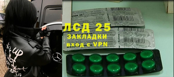 PSILOCYBIN Краснотурьинск
