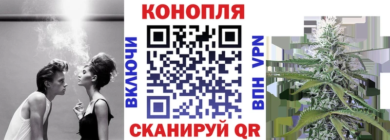 Конопля ГИДРОПОН  как найти наркотики  Сураж 